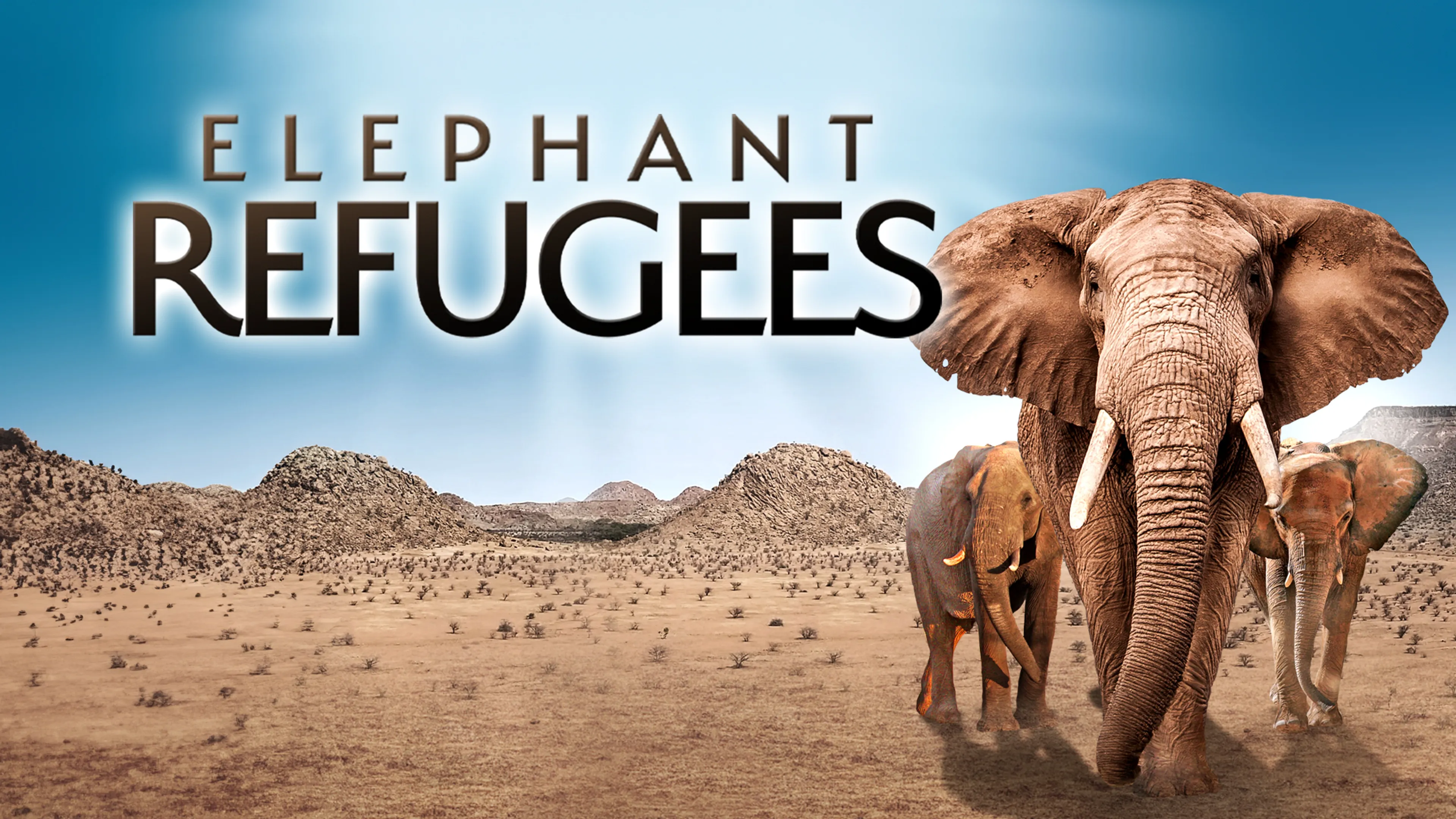 Elephant Refugees poster